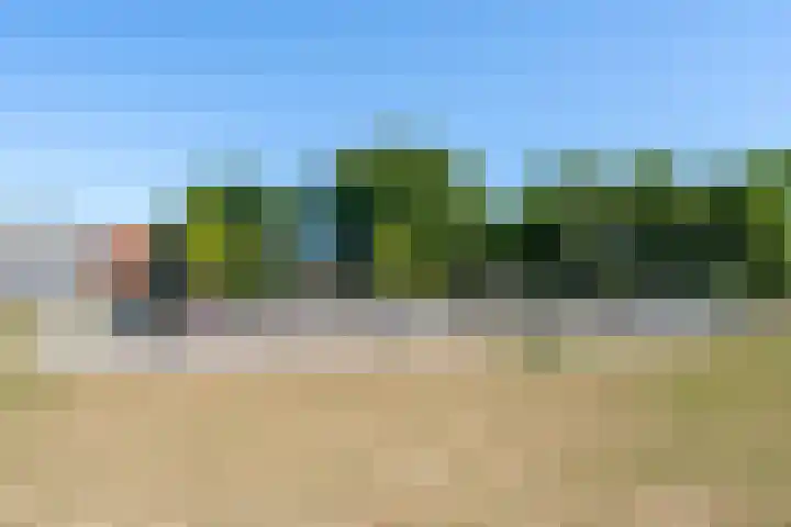 Dominicushof 141 Vianen thumbnail 37