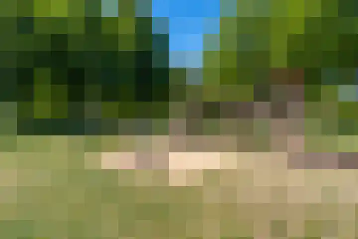 Dominicushof 141 Vianen thumbnail 38