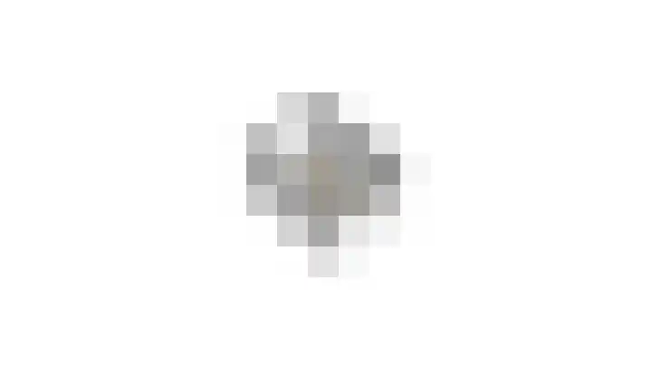 Dominicushof 141 Vianen thumbnail 50