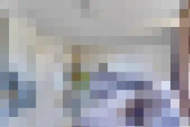 Dominicushof 141 Vianen thumbnail 9