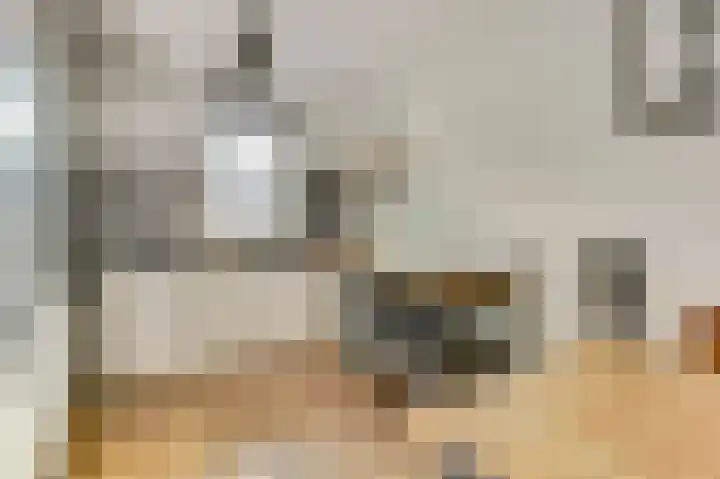 Dominicushof 142 Vianen thumbnail 10