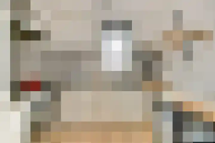 Dominicushof 142 Vianen thumbnail 13