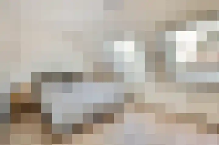 Dominicushof 142 Vianen thumbnail 16