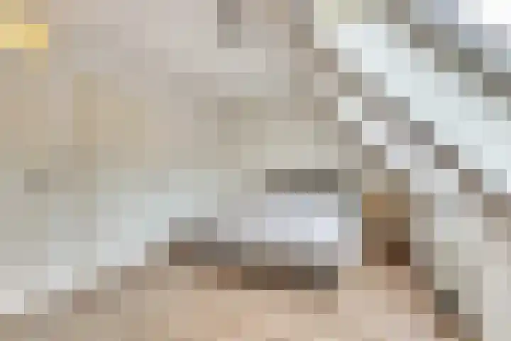 Dominicushof 142 Vianen thumbnail 17