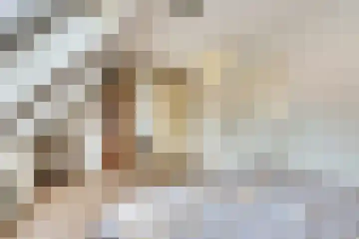 Dominicushof 142 Vianen thumbnail 18