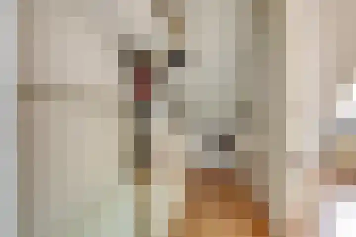 Dominicushof 142 Vianen thumbnail 25