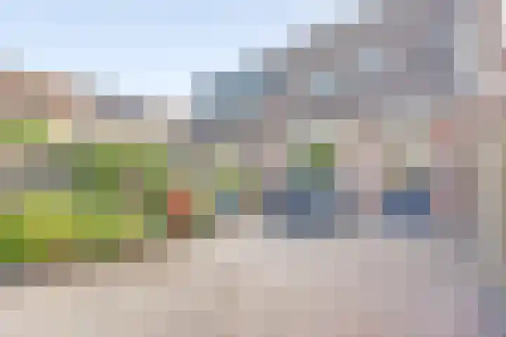 Dominicushof 142 Vianen thumbnail 30