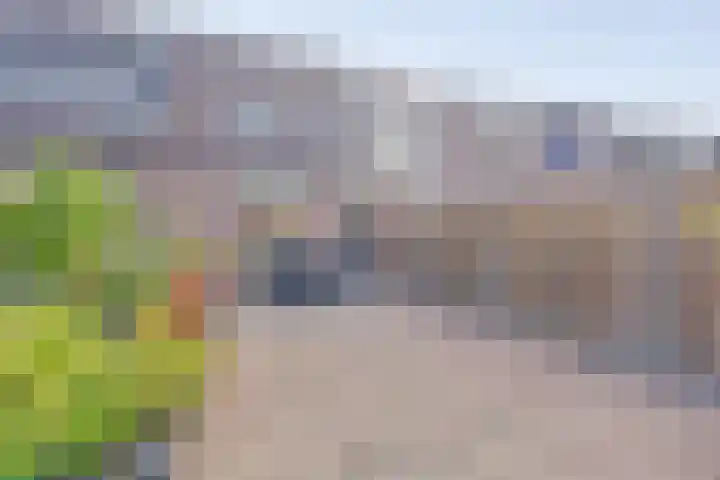 Dominicushof 142 Vianen thumbnail 31