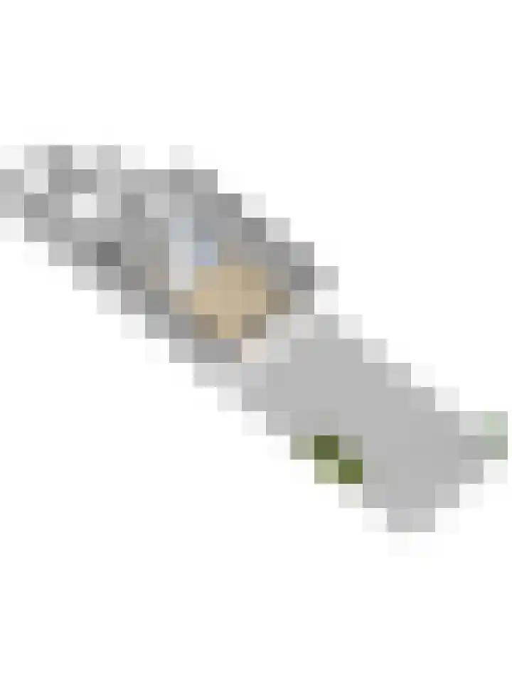 Dominicushof 142 Vianen thumbnail 38