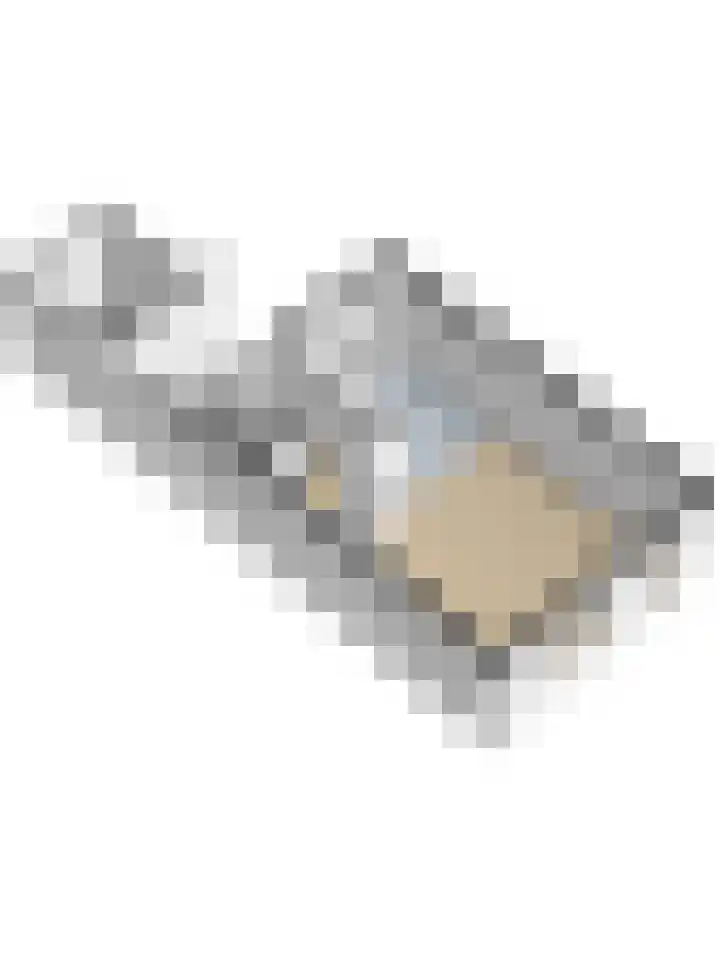 Dominicushof 142 Vianen thumbnail 39
