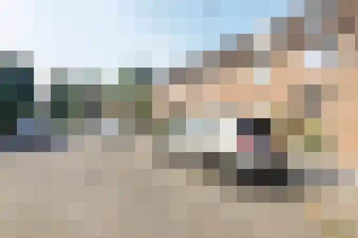 Dominicushof 142 Vianen thumbnail 4