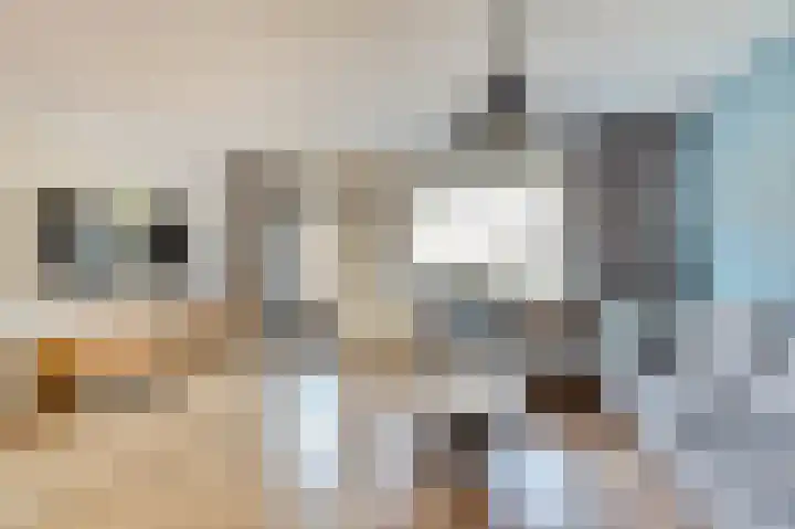 Dominicushof 142 Vianen thumbnail 6