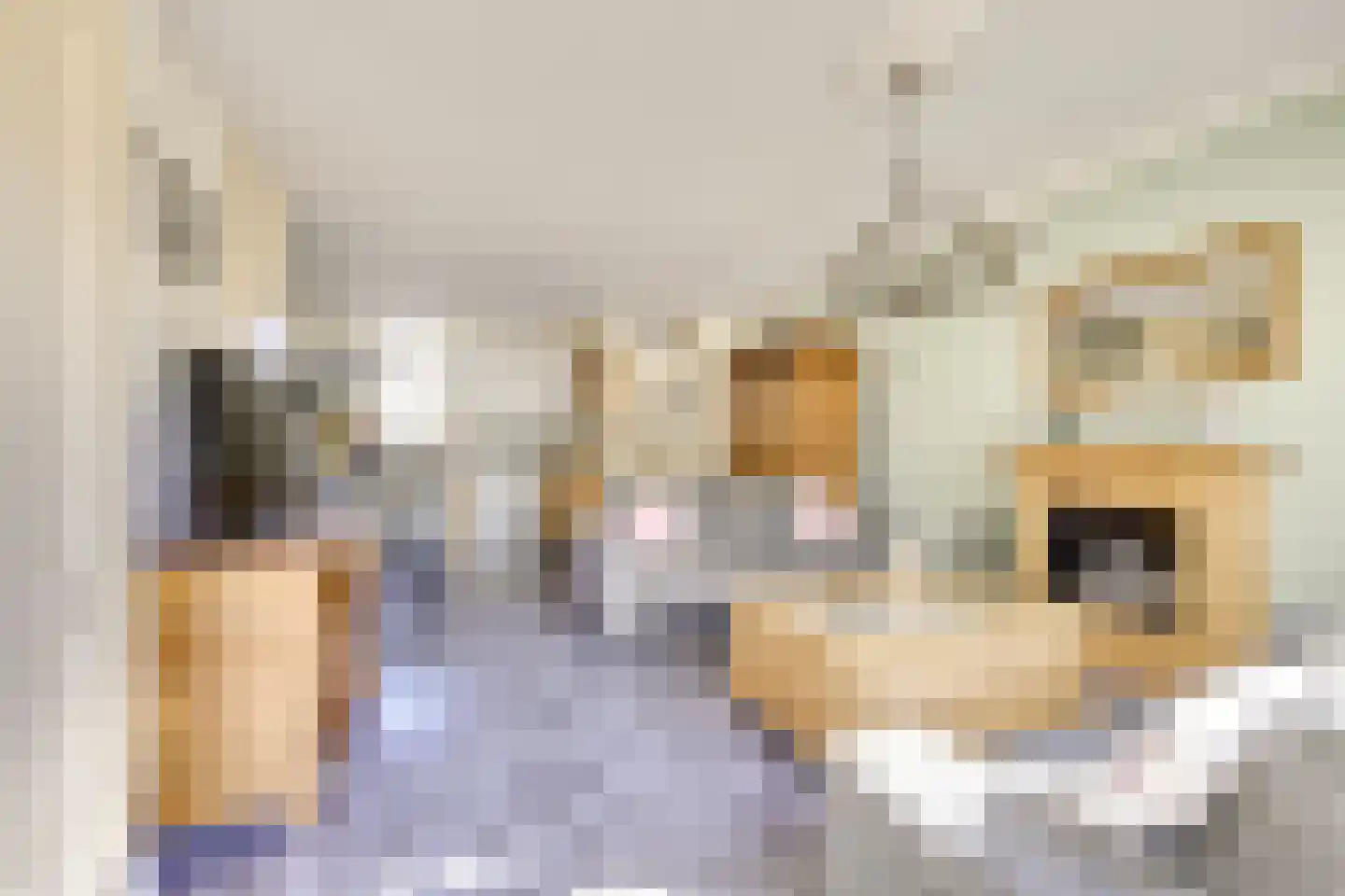 Dominicushof 152 Vianen thumbnail 12