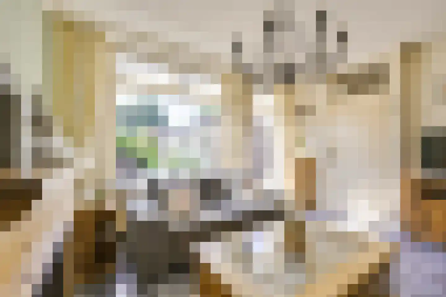 Dominicushof 152 Vianen thumbnail 14