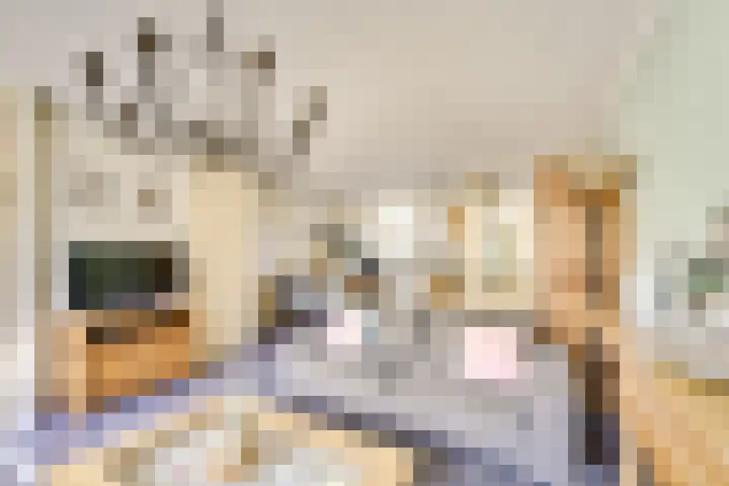 Dominicushof 152 Vianen thumbnail 15
