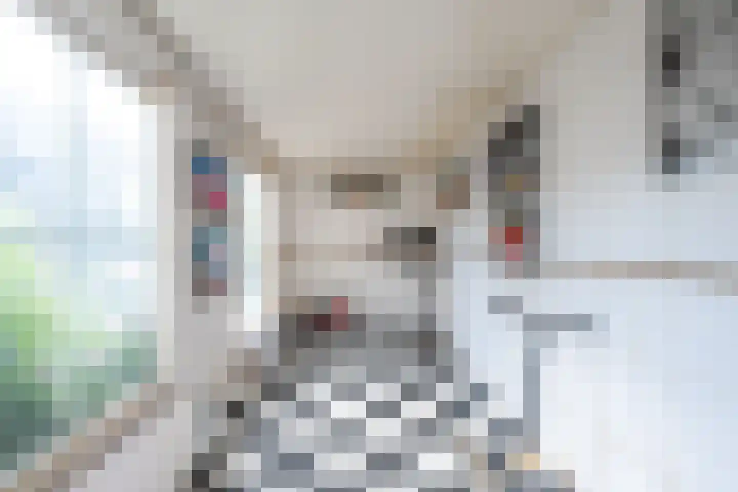 Dominicushof 152 Vianen thumbnail 20