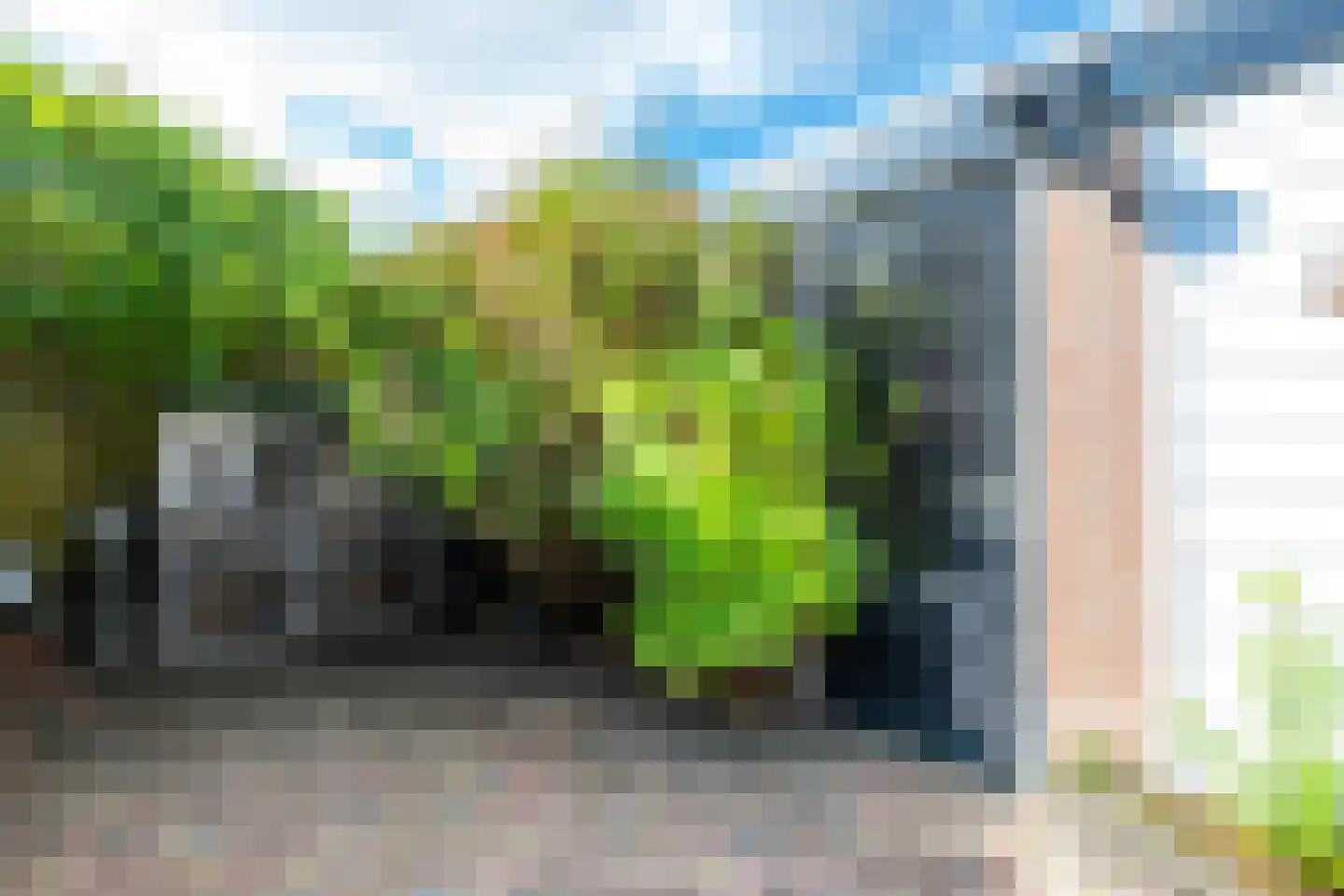 Dominicushof 152 Vianen thumbnail 37
