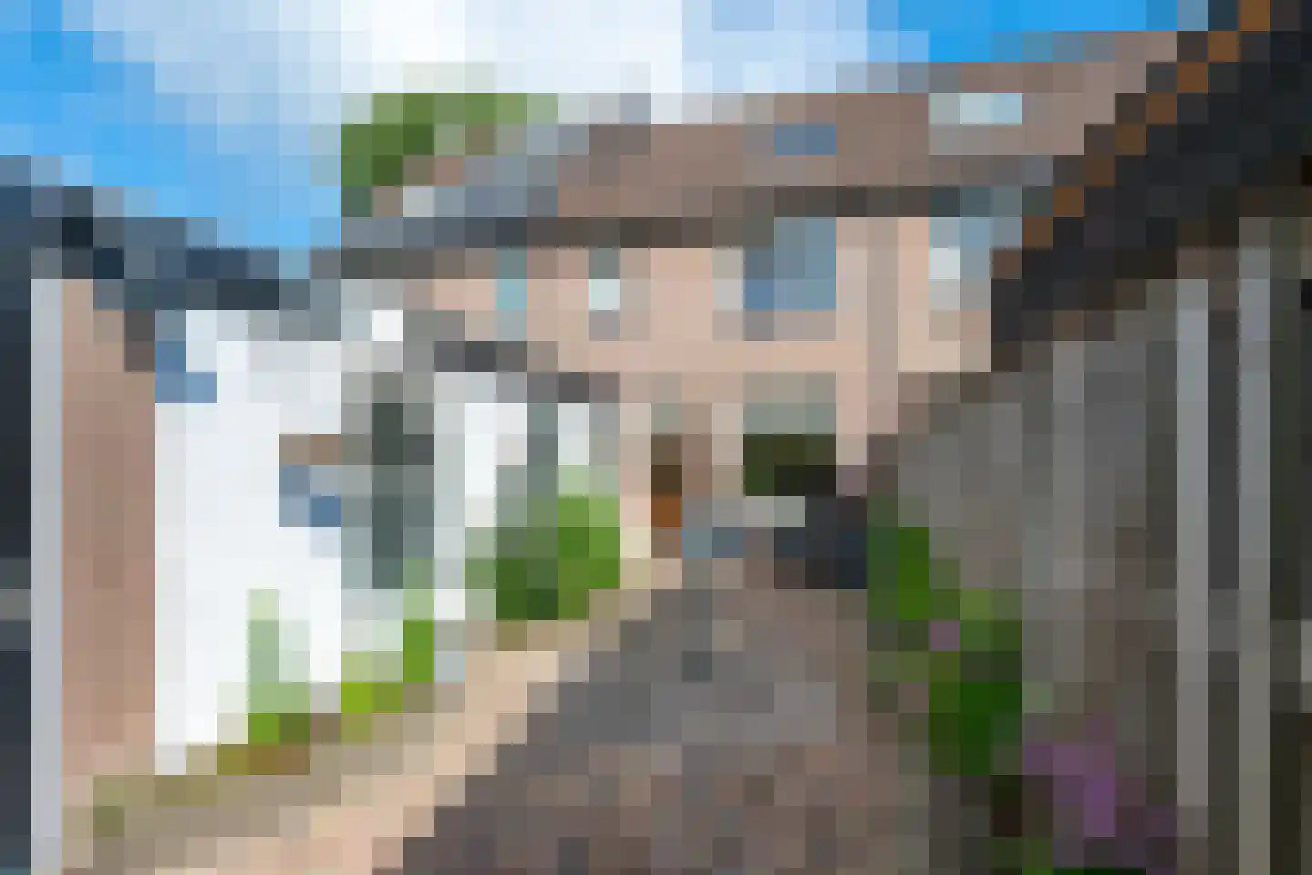 Dominicushof 152 Vianen thumbnail 38
