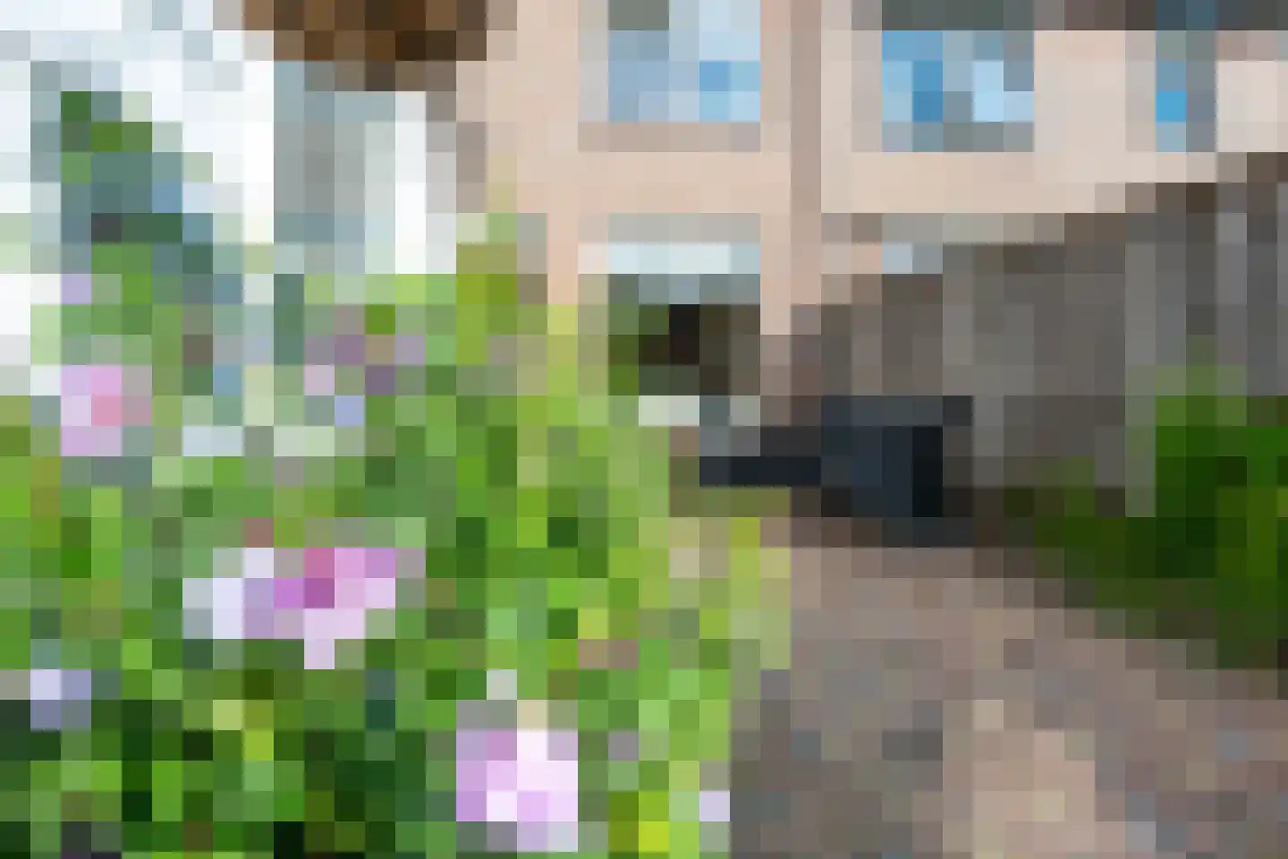 Dominicushof 152 Vianen thumbnail 40