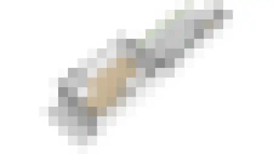 Dominicushof 152 Vianen thumbnail 58