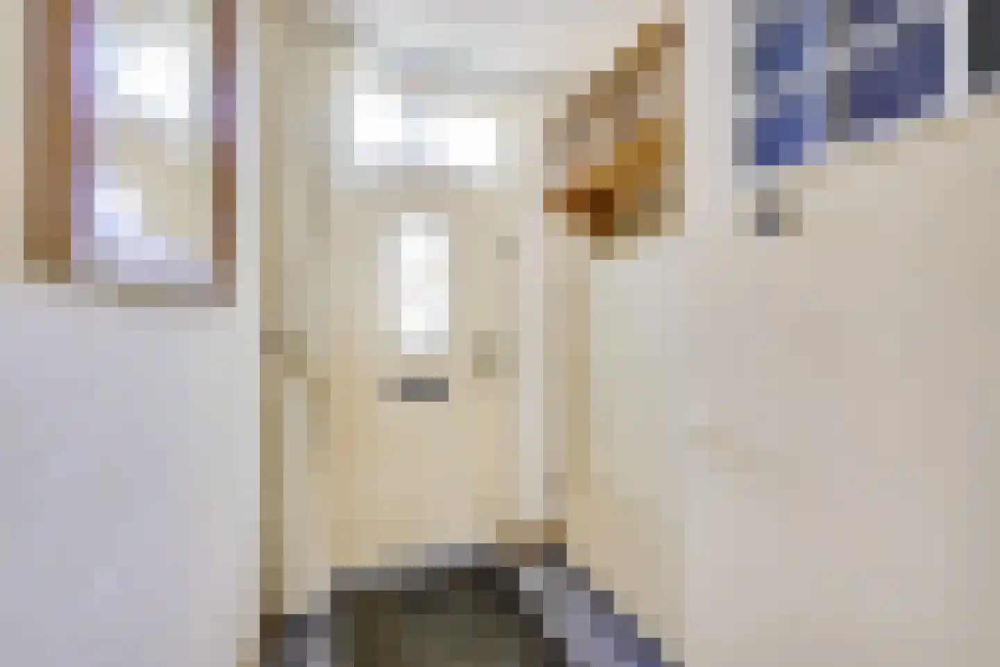 Dominicushof 152 Vianen thumbnail 7