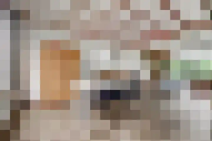 Dominicushof 19 Vianen thumbnail 13