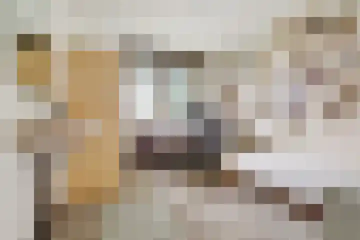 Dominicushof 19 Vianen thumbnail 24