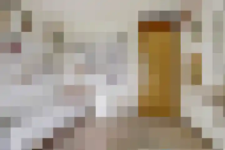 Dominicushof 19 Vianen thumbnail 25