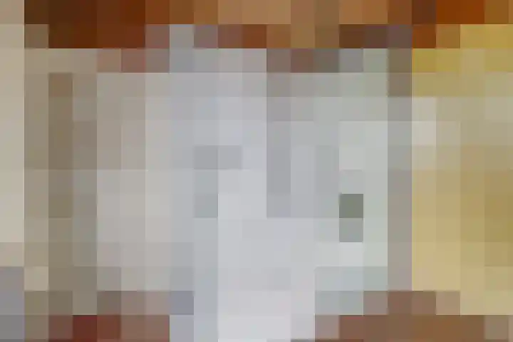Dominicushof 19 Vianen thumbnail 28