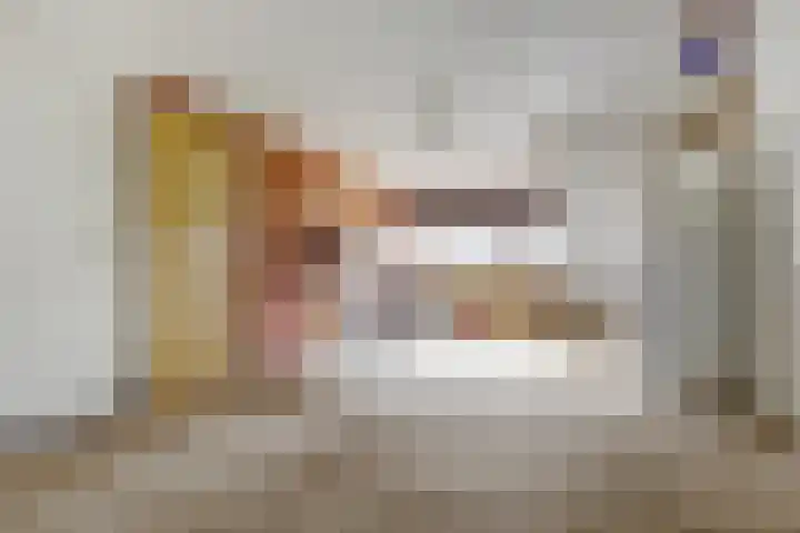 Dominicushof 19 Vianen thumbnail 31