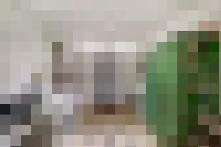Dominicushof 19 Vianen thumbnail 35