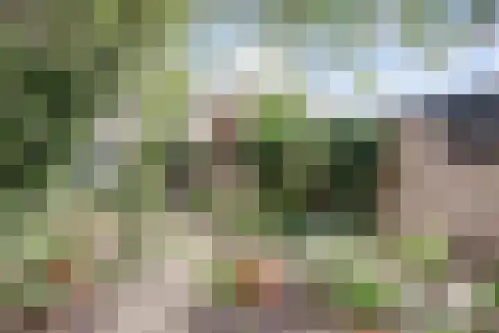 Dominicushof 19 Vianen thumbnail 37