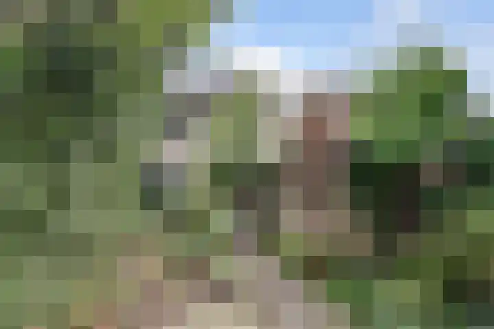 Dominicushof 19 Vianen thumbnail 38