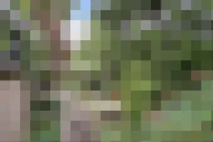 Dominicushof 19 Vianen thumbnail 39