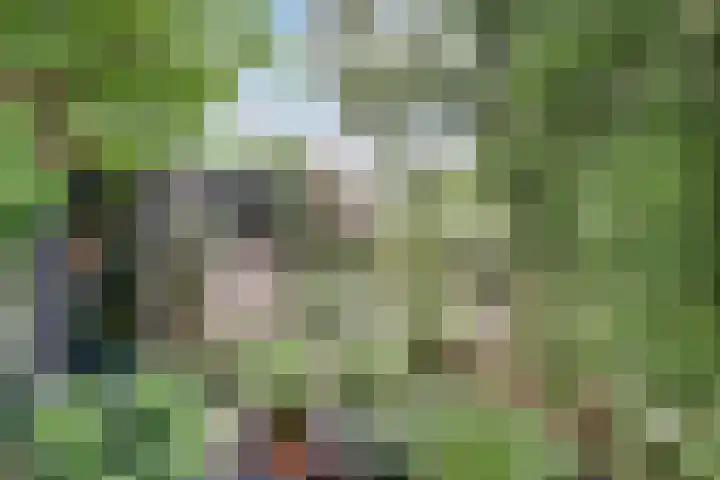 Dominicushof 19 Vianen thumbnail 40