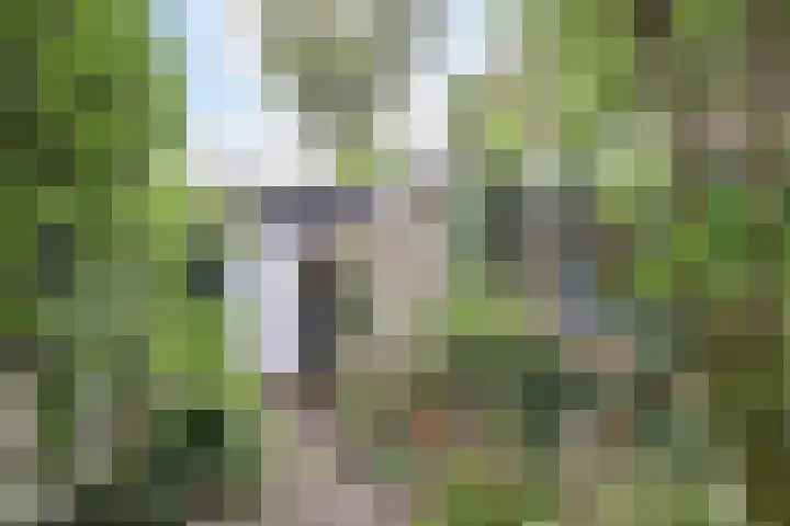 Dominicushof 19 Vianen thumbnail 41