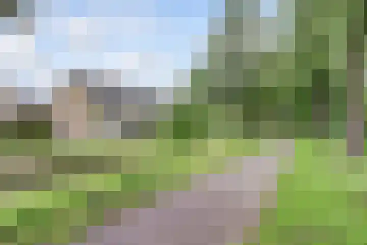 Dominicushof 19 Vianen thumbnail 43