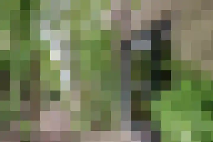 Dominicushof 19 Vianen thumbnail 5