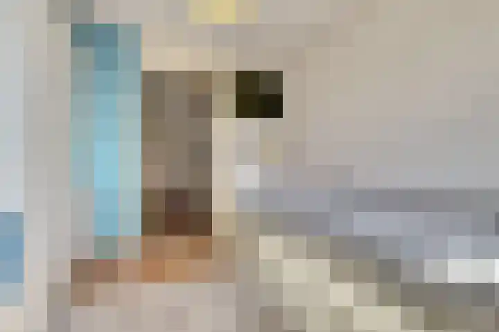 Dominicushof 28 Vianen thumbnail 17