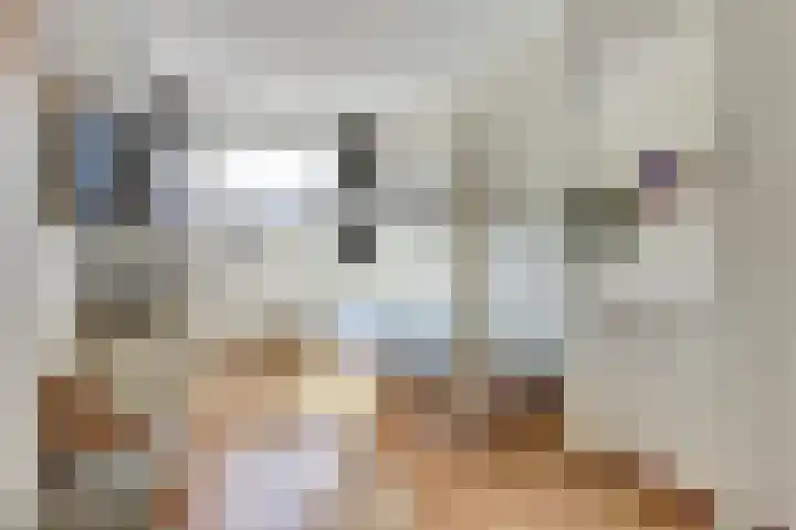 Dominicushof 28 Vianen thumbnail 20