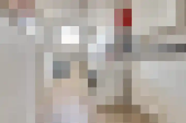 Dominicushof 28 Vianen thumbnail 23