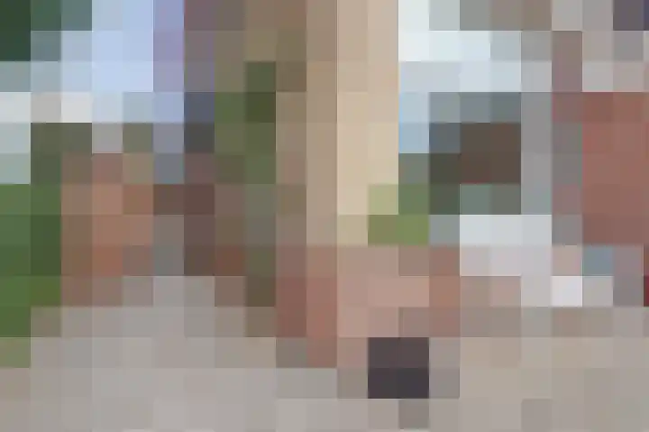 Dominicushof 28 Vianen thumbnail 29
