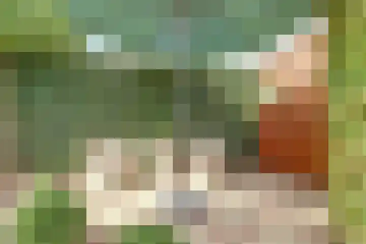 Dominicushof 28 Vianen thumbnail 32