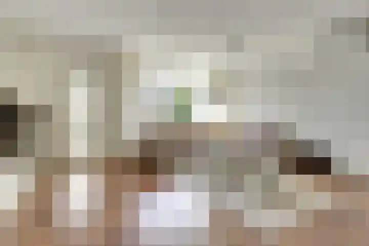 Dominicushof 28 Vianen thumbnail 6