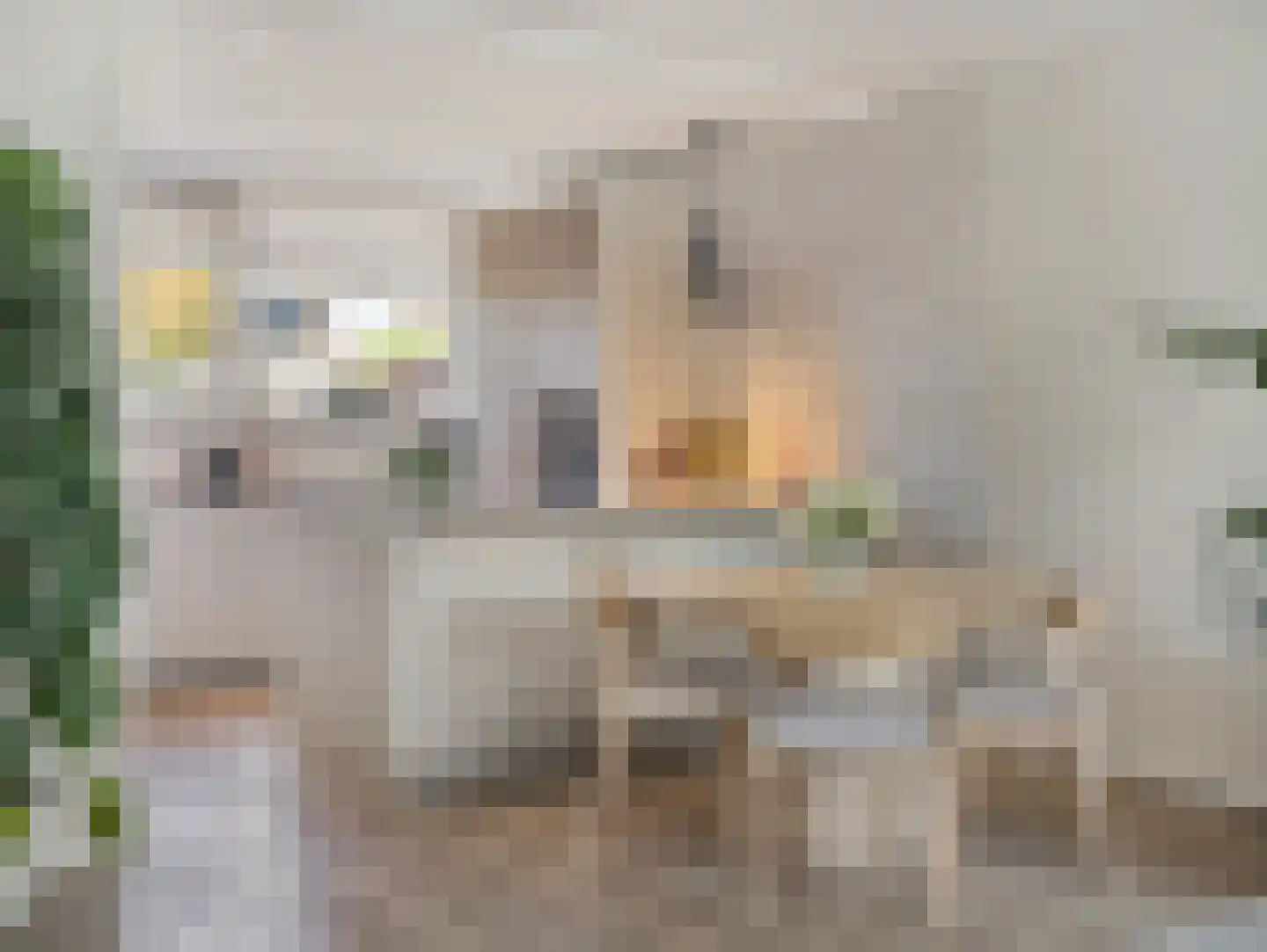 Dominicushof 30 Vianen thumbnail 11