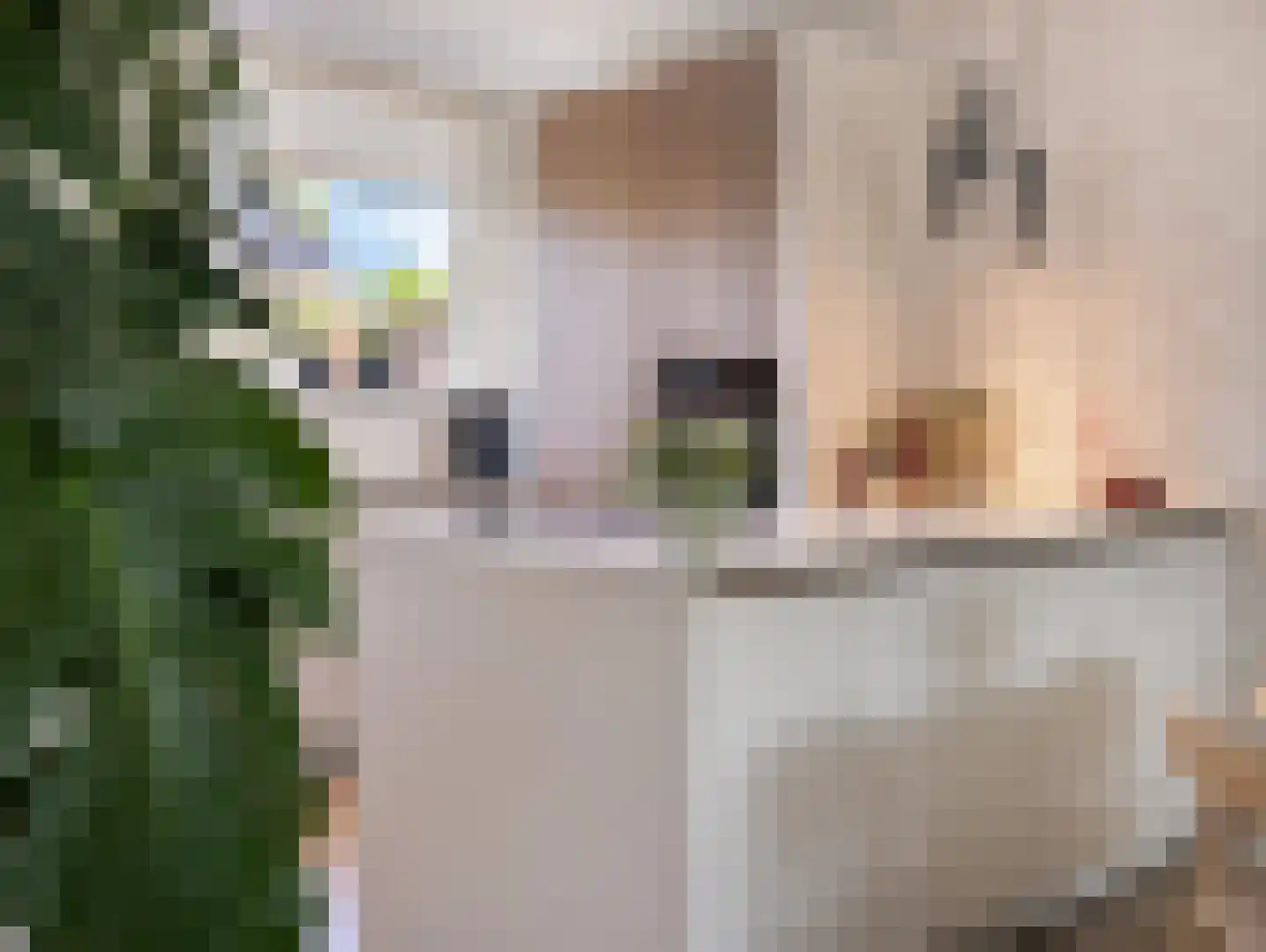 Dominicushof 30 Vianen thumbnail 12