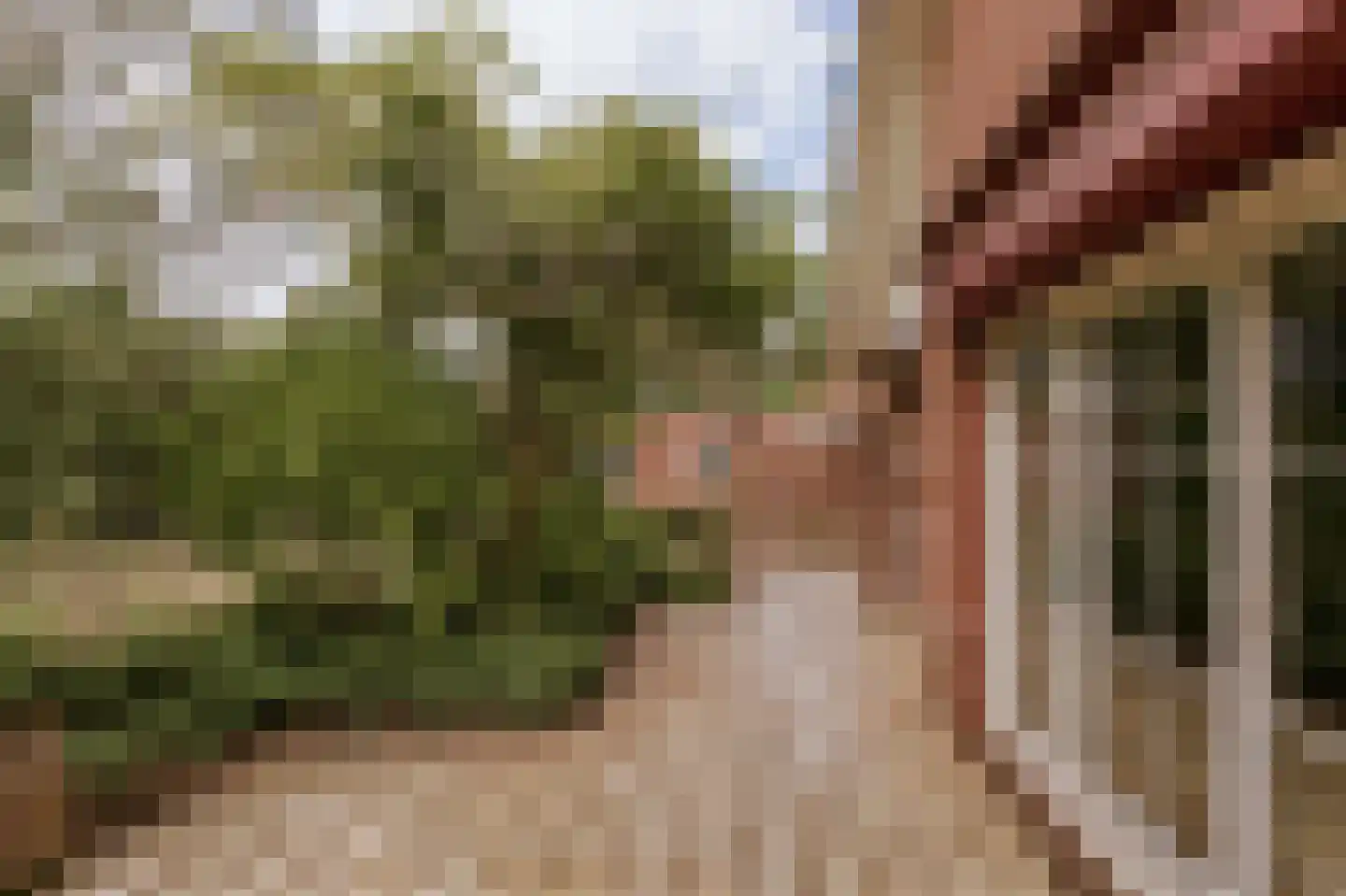 Dominicushof 6 Roermond thumbnail 10