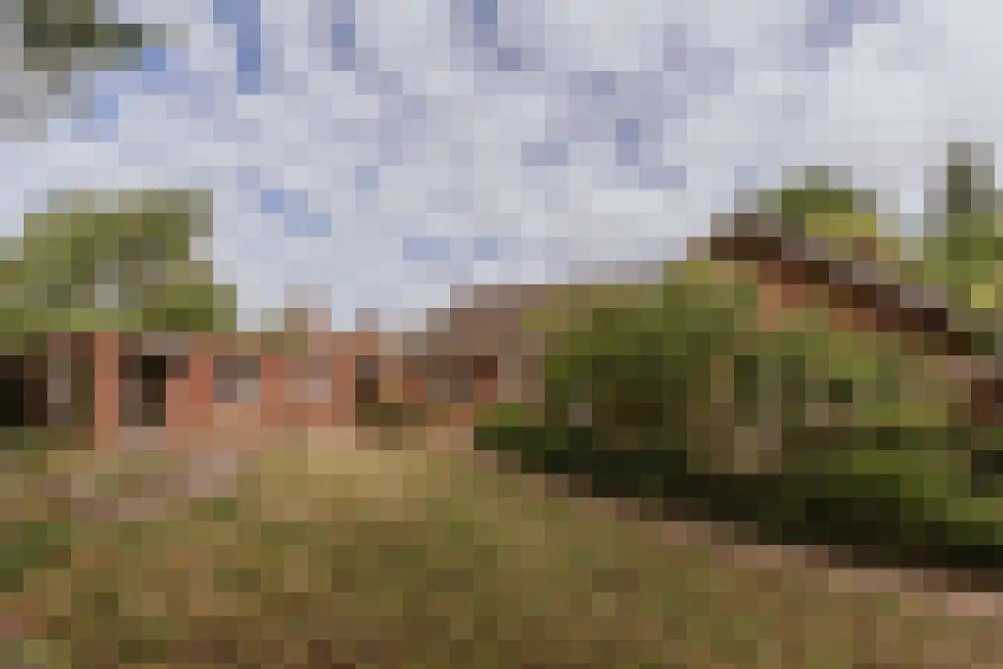 Dominicushof 6 Roermond thumbnail 11