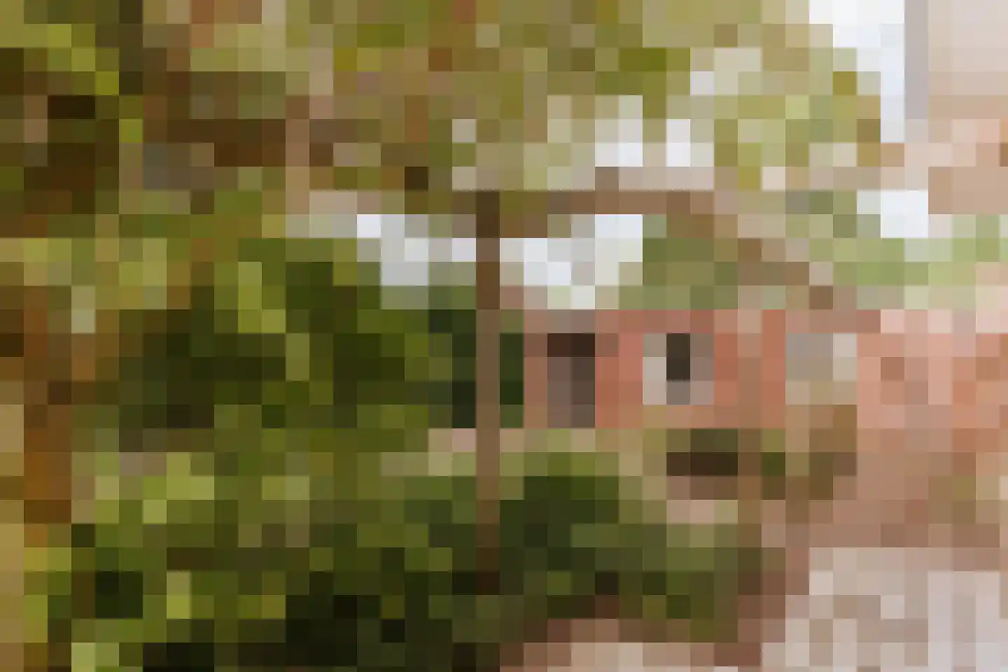 Dominicushof 6 Roermond thumbnail 12