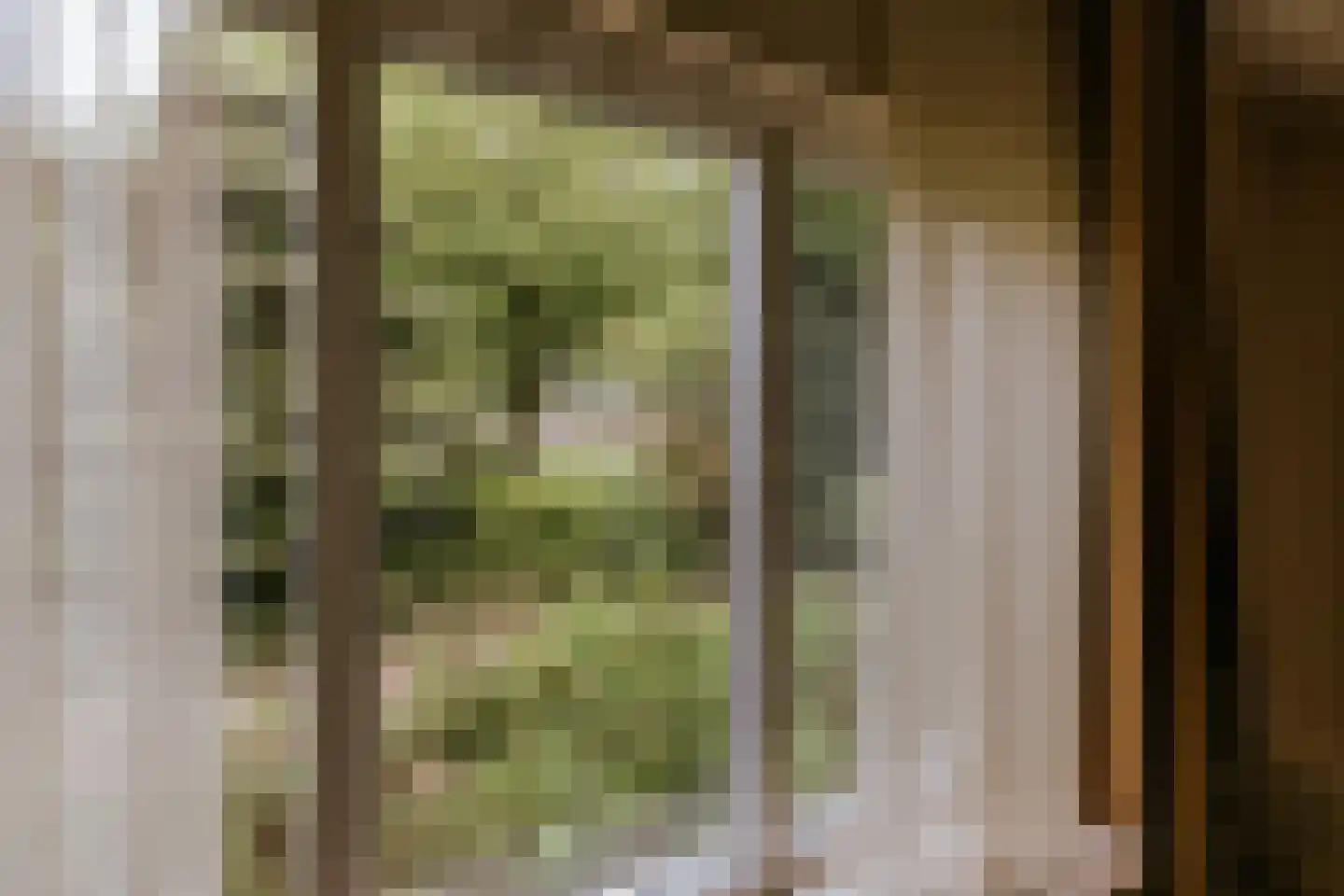 Dominicushof 6 Roermond thumbnail 17